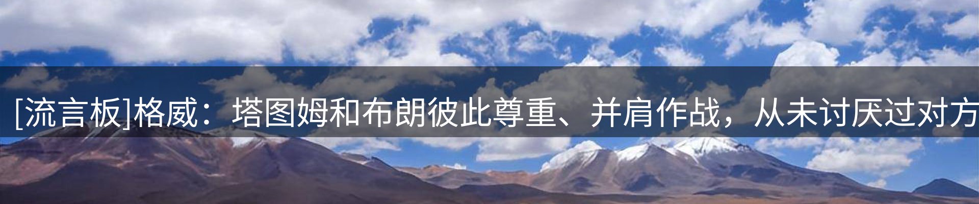 新闻动态